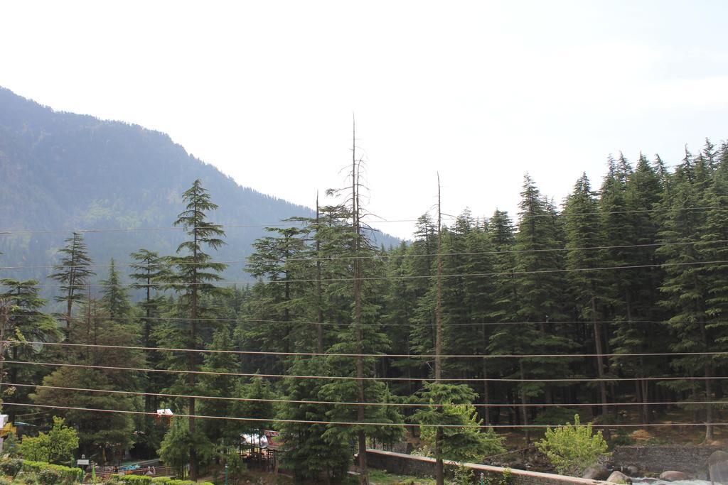 Mamta Guest House Manali (Himachal Pradesh) Ngoại thất bức ảnh